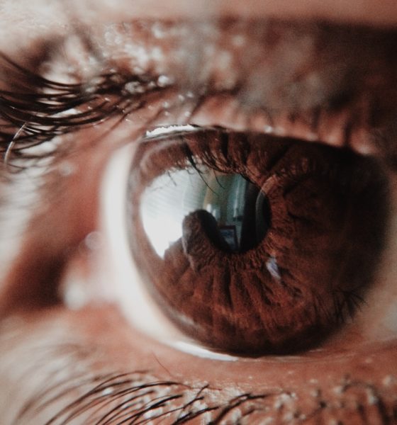 Photo by Subin: https://www.pexels.com/photo/brown-human-eye-946727/